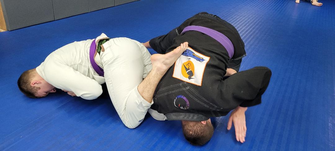 Image demonstrating bjj
